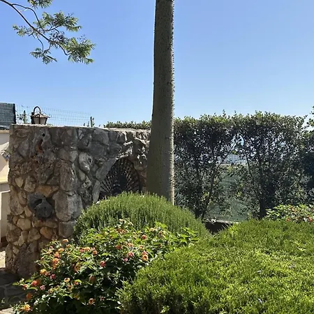 Apartment Miranda Oro